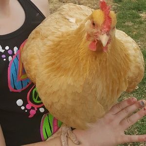 Meet your Posher, Mary jo